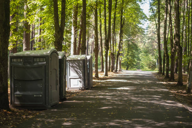 Portable Toilet Options We Offer in Toledo, OH